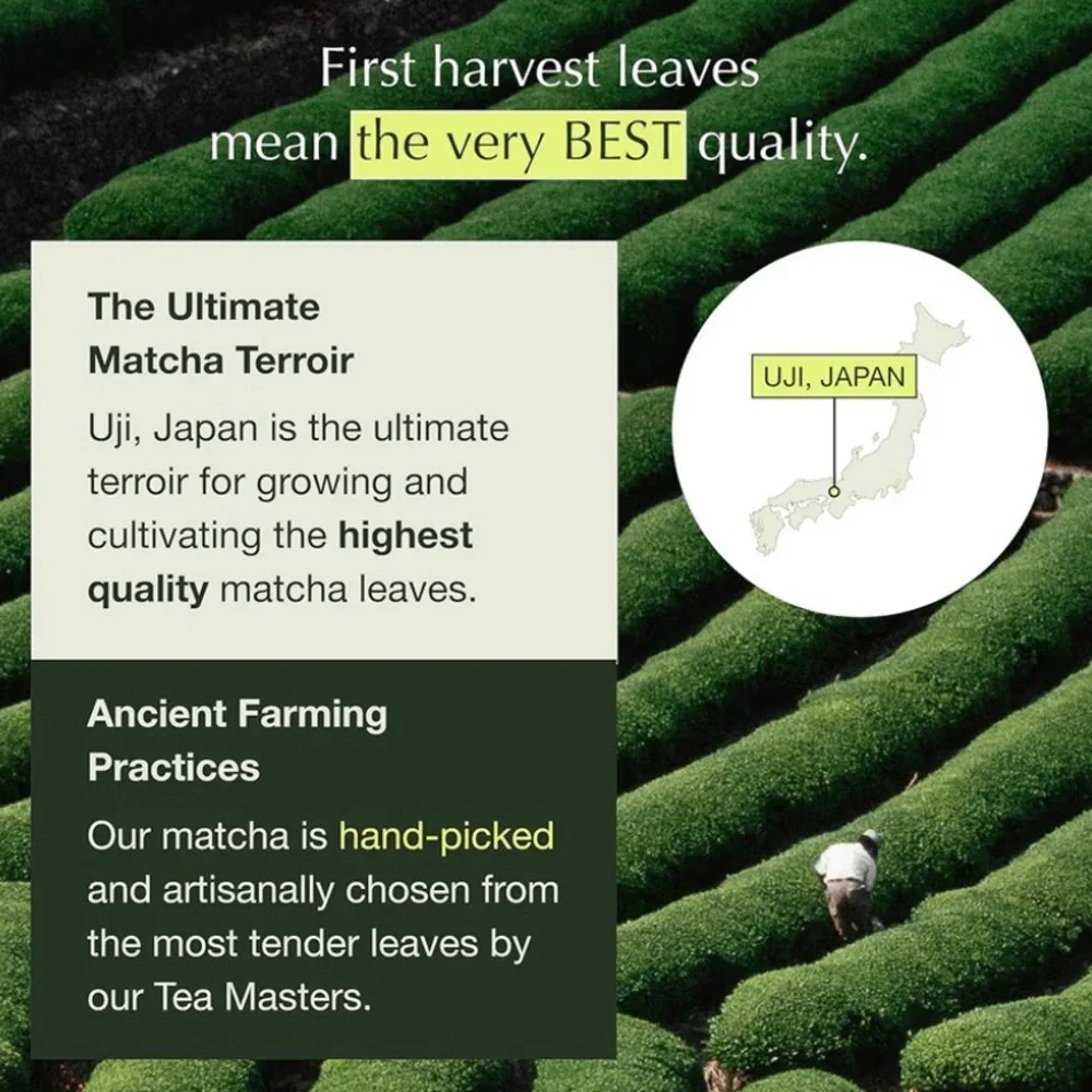 Encha Organic Matcha Latte Grade